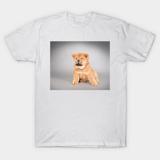 Chow chow  puppy T-Shirt by PetsArt